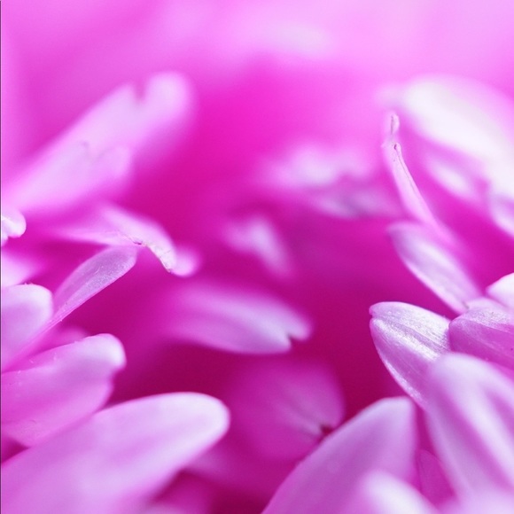 Meet your Posher, Carina - Picture 12 of 12